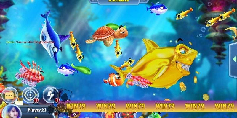 Bắn cá WIN79 kịch tính, dễ kiếm tiền