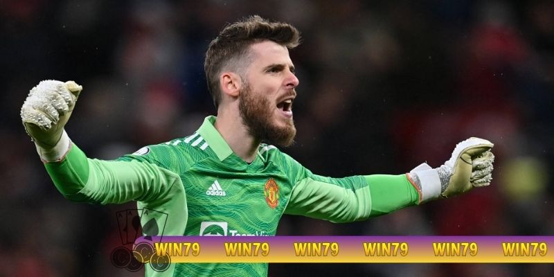 Cầu thủ có sải tay dài cần có sức khỏe tốt