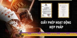 giấy phép hoạt động