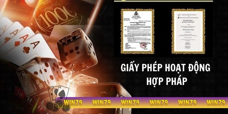 giấy phép hoạt động